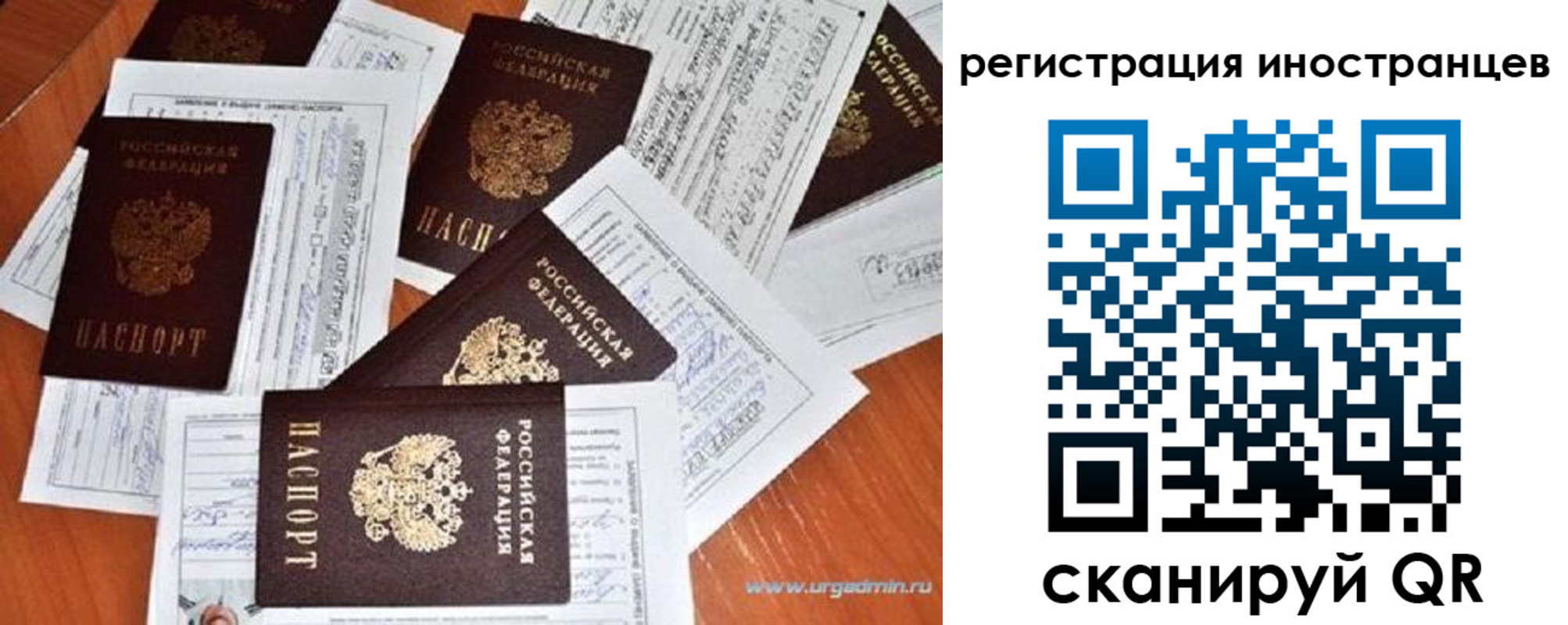 временная регистрация гарантия в Бикине